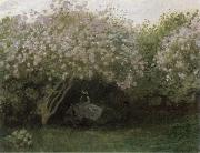 Lilacs,Gray Weather